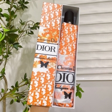 CHIRSTIAN DIOR